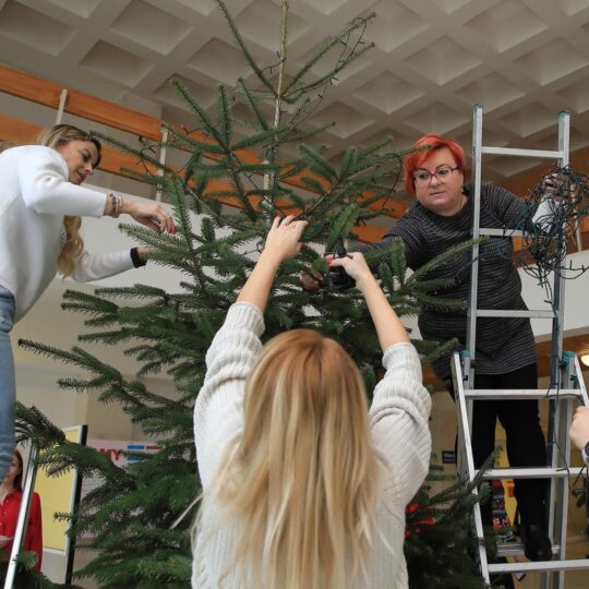 FNsP NZ_Rozsvietili sme vianočný stromček