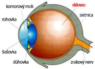 Článok - Oči sú naše okno do sveta